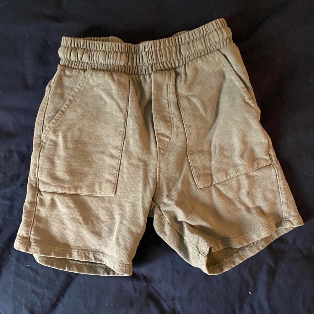 Zara shorts